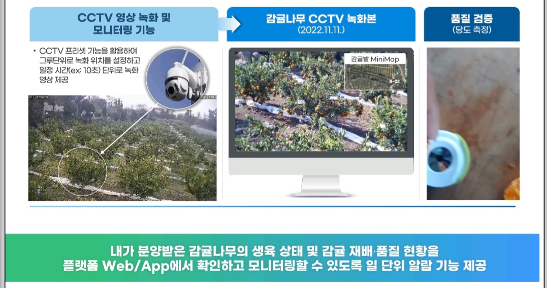 감귤 메타팜 CCTV 활용안