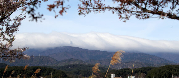 비가 그친 6일 강원 강릉 시내에서 바라본 백두대간이 눈이 쌓인 것처럼 흰 구름에 덮여 있다. 2023.4.6 연합뉴스