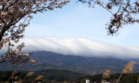 비가 그친 6일 강원 강릉 시내에서 바라본 백두대간이 눈이 쌓인 것처럼 흰 구름에 덮여 있다. 2023.4.6 연합뉴스