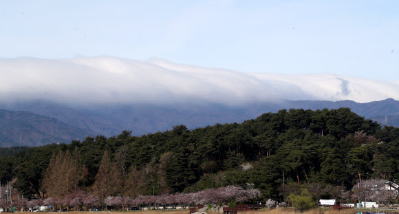 비가 그친 6일 강원 강릉 시내에서 바라본 백두대간이 눈이 쌓인 것처럼 흰 구름에 덮여 있다. 2023.4.6 연합뉴스