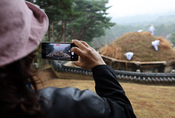 한식인 6일 경기도 구리시 동구릉 내 태조 이성계의 무덤인 건원릉에서 봉분을 덮고 있는 억새를 자르는 ‘청완 예초의’가 치러지고 있다. 2023.4.6 연합뉴스