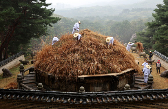 한식인 6일 경기도 구리시 동구릉 내 태조 이성계의 무덤인 건원릉에서 봉분을 덮고 있는 억새를 자르는 ‘청완 예초의’가 치러지고 있다. 2023.4.6 연합뉴스