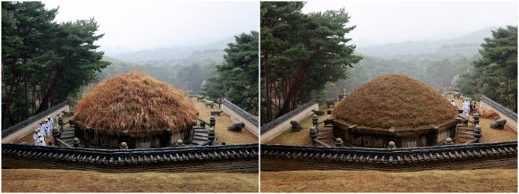 한식인 6일 경기도 구리시 동구릉 내 태조 이성계의 무덤인 건원릉에서 봉분을 덮고 있는 억새를 자르는 ‘청완 예초의’가 치러졌다. 2023.4.6 연합뉴스