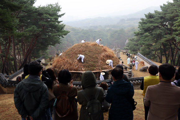 한식인 6일 경기도 구리시 동구릉 내 태조 이성계의 무덤인 건원릉에서 봉분을 덮고 있는 억새를 자르는 ‘청완 예초의’가 치러지고 있다. 2023.4.6 연합뉴스