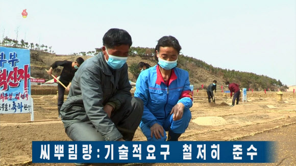 북한 조선중앙TV는 지난 5일 “4월 중순 기상조건에 따르는 농업기술적 대책에 대해서 알려드리겠다”며 농업연구원 처장 리영림 인터뷰를 실었다. 리 처장은 “4월 중순에 농업부문에서는 벼모판씨뿌리기를 빨리 다그치는 것과 함께 벼모판관리를 잘해서 벼모를 튼튼히 키우면서 밀, 보리 비배관리를 잘 해야 하는 이런 시기”라고 말했다. 2023.4.6. 조선중앙TV 화면·연합뉴스