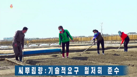 북한 조선중앙TV는 지난 5일 “4월 중순 기상조건에 따르는 농업기술적 대책에 대해서 알려드리겠다”며 농업연구원 처장 리영림 인터뷰를 실었다. 리 처장은 “4월 중순에 농업부문에서는 벼모판씨뿌리기를 빨리 다그치는 것과 함께 벼모판관리를 잘해서 벼모를 튼튼히 키우면서 밀, 보리 비배관리를 잘 해야 하는 이런 시기”라고 말했다. 2023.4.6. 조선중앙TV 화면·연합뉴스