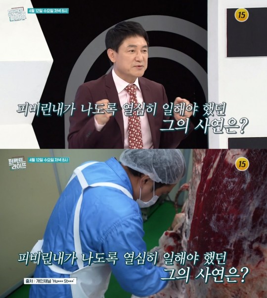 TV조선 시사·교양 ‘퍼펙트 라이프’