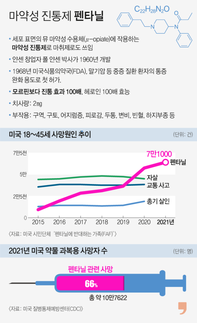 마약성 진통제 펜타닐 - 그래픽 이해영 기자