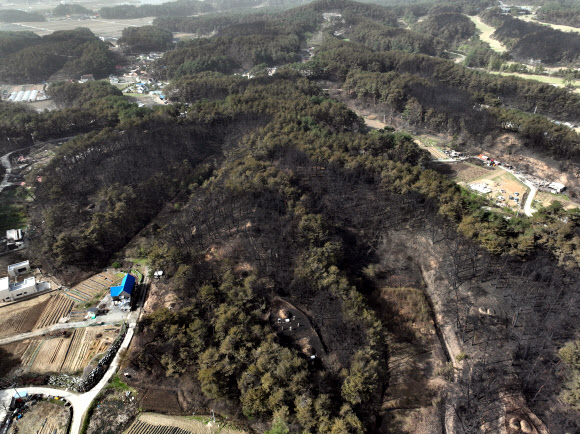 [강릉=뉴시스] 고승민 기자 = 강릉 산불 진화 이틀째인 12일 저동골길 인근 야산 나무들이 까맣게 타 있다. 2023.04.12. 뉴시스