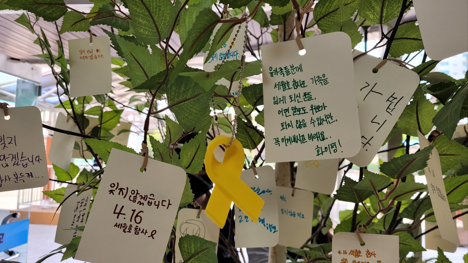 경기 고양시 한수중 학생들이 만든 세월호 기억나무. 학생들의 추모 메시지가 빼곡하다. 강양희 교사 제공