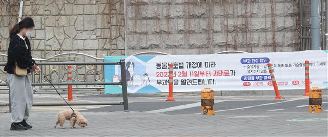 서울 광진구 뚝섬한강공원에서 한 시민이 반려견과 산책을 하고 있다. 뉴스1