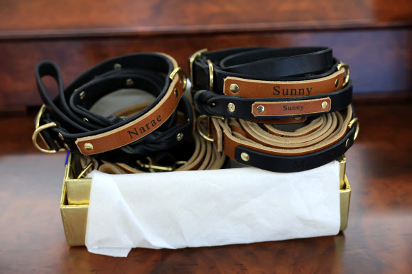 지난달 미국을 국빈 방문한 윤석열 대통령 부부가 블링컨 미 국무장관으로부터 받은 선물을 대통령실이 6일 공개했다. 사진은 지난달 26일(현지시간) 국빈만찬 전 앤서니 블링컨 미 국무장관이 선물한 반려견 산책줄. 2023.5.6. 대통령실 제공