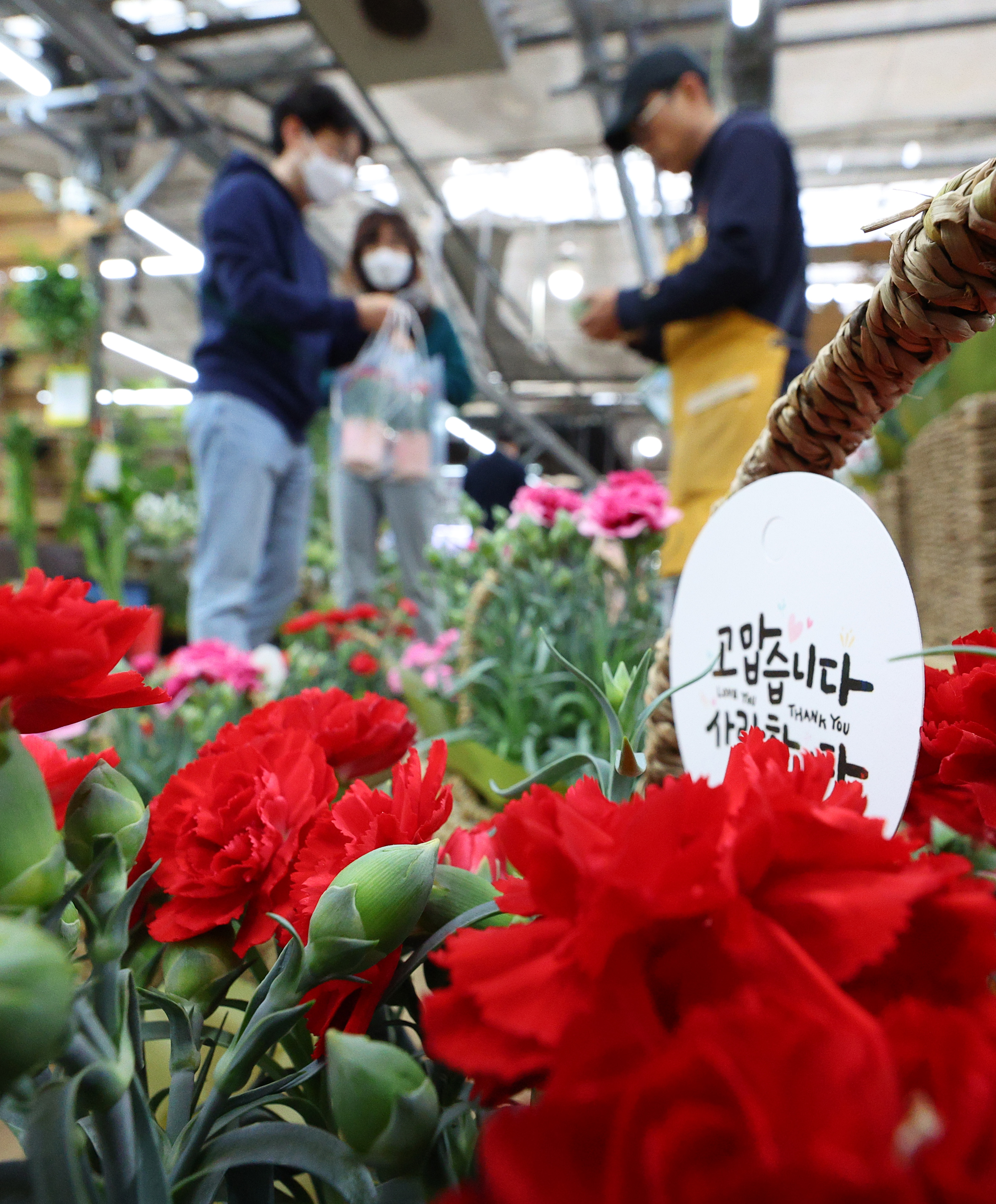 어버이날을 하루 앞둔 7일 서울 서초구 양재동꽃시장을 찾은 시민들이 카네이션을 고르고 있다. 연합뉴스
