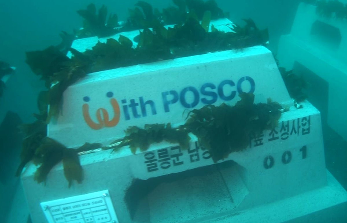 포스코가 2020년 5월 경북 동해안 울릉군 남양리 앞바다에 인공어초 ‘트리톤’을 설치할 때의 수중 모습. 포스코제공