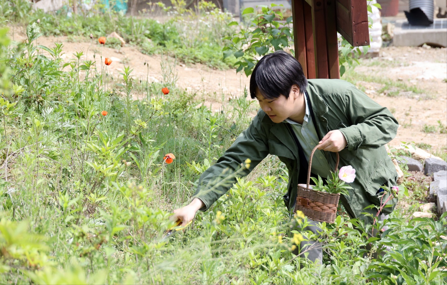 지난 9일 전북 완주군 치유농장 ‘드림뜰 힐링팜’의 치유 프로그램에 참여 중인 한 기자가 ‘힐링 꽃바구니’를 만들기 위해 농장에 피어 있는 꽃을 채집하고 있다. 공동취재단