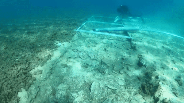 크로아티아 코르출라 섬 앞바다에서 7000년 전 도로를 발굴하는 모습. 자다르대학교 유튜브 캡처