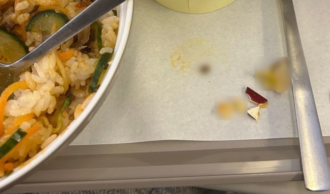 A 씨가 아시아나항공 여객기에서 기내식으로 제공된 비빔밥을 먹다가 이물질이 있어 치아가 손상됐다며 공개한 해당 비빔밥 사진. 네이버 카페 ‘스마트 컨슈머를 사랑하는 사람들’ 캡처