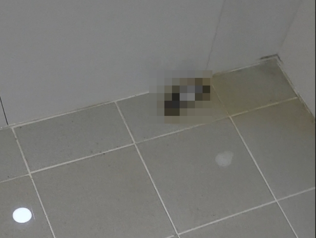 인천의 한 신축아파트 화장실에서 발견된 말라붙은 인분. 독자 제공 연합뉴스
