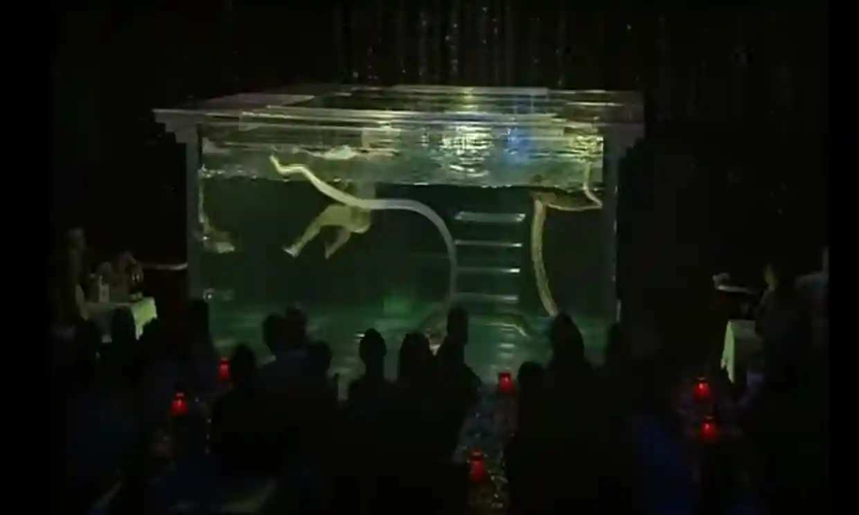 프랑스 파리의 카바레 공연장 물랭루주에서 뱀을 이용한 공연을 펼치고 있다. 유튜브 캡처
