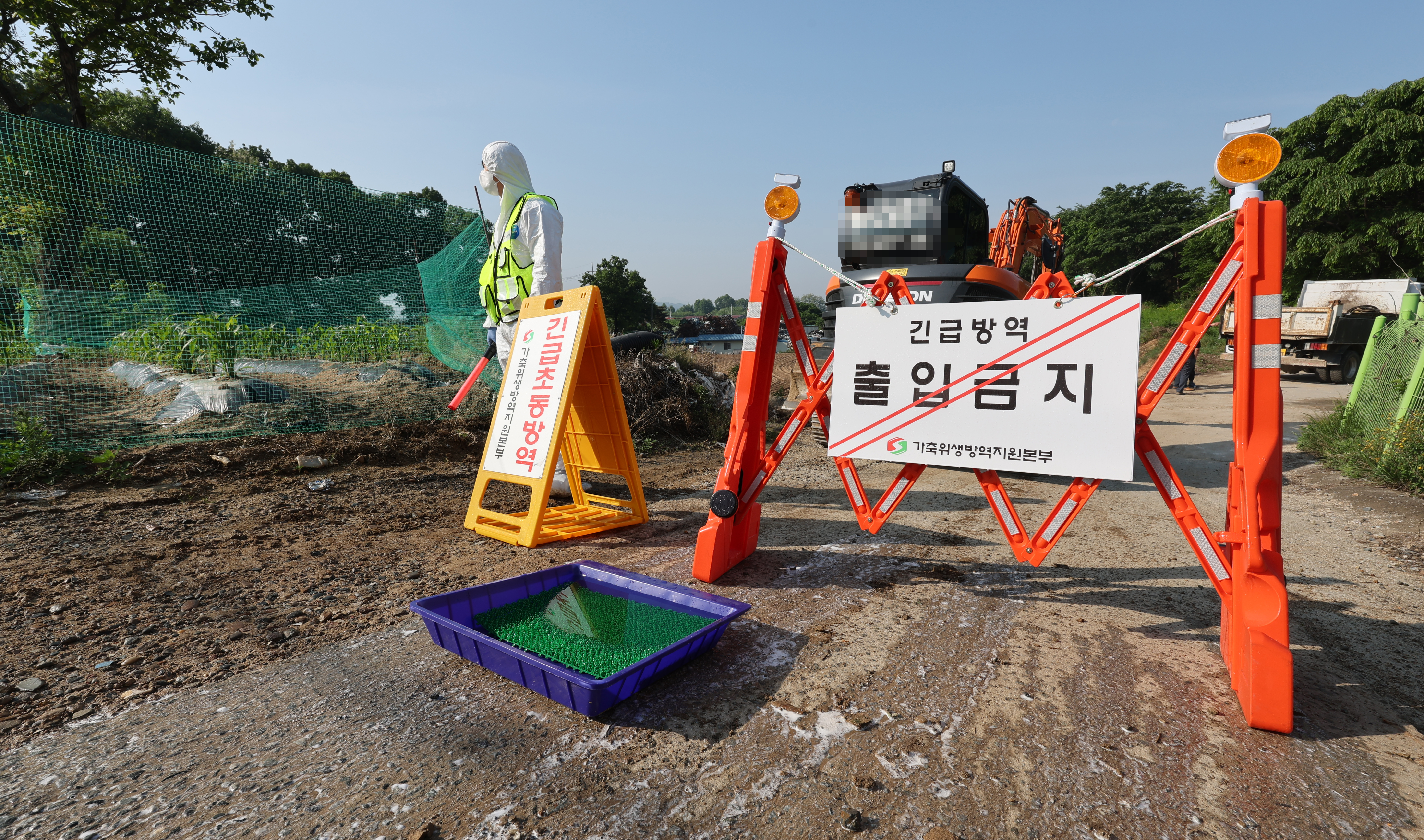 구제역 발생한 청주 한우 농장