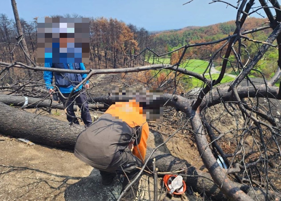 강릉 산불 피해지 벌목 사망 사고 현장에서 조사가 진행되고 있다. 고용노동부 강원지청 제공