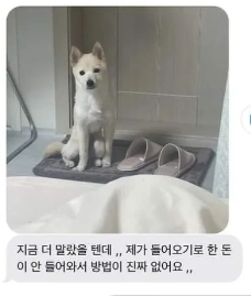 숨진 강아지의 주인이 동물보육원 전주지부에 보낸 사진과 메시지. 인스타그램 캡처