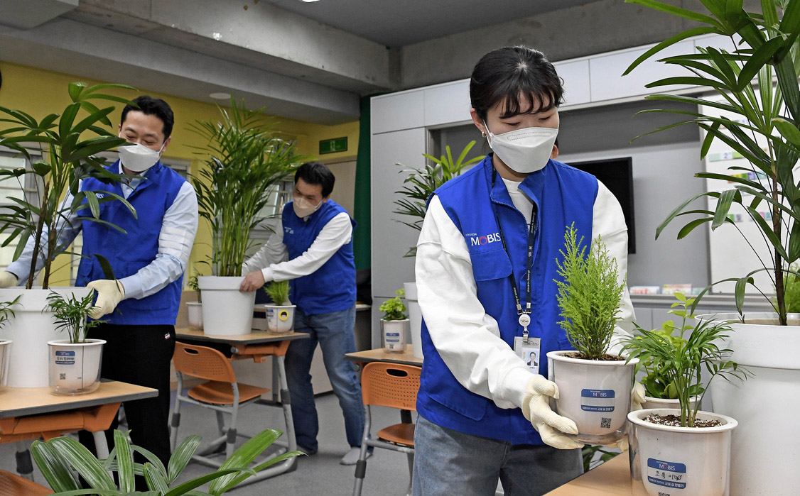 현대모비스는 ‘교실숲 프로젝트’를 통해 임직원들이 직접 키운 공기정화 식물을 학교에 기증하고 있다. 현대모비스 제공