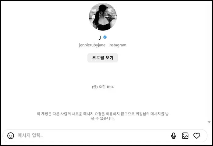 그룹 블랙핑크 멤버 제니와 방탄소년단(BTS) 뷔의 열애설이 재점화됐다. 제니는 자신의 인스타그램 계정 DM 기능을 제한한 상태다. 인스타그램 캡처