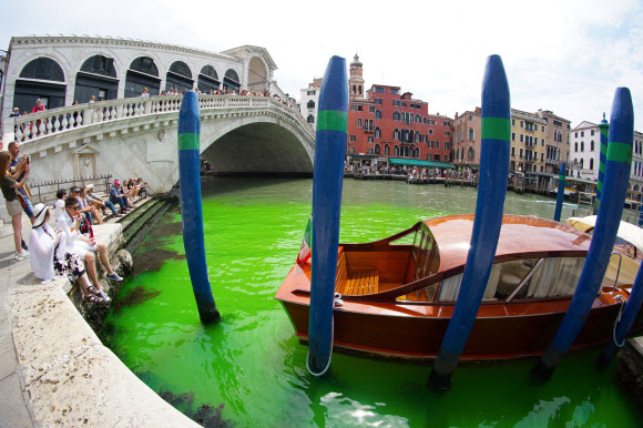 이탈리아 베네치아의 관광 명소 리알토 다리 아래 그랜드 카날 수로가 28일(현지시간) 형광 녹색 물띠를 형성하고 있다. 베네치아 ANSA AFP 연합뉴스