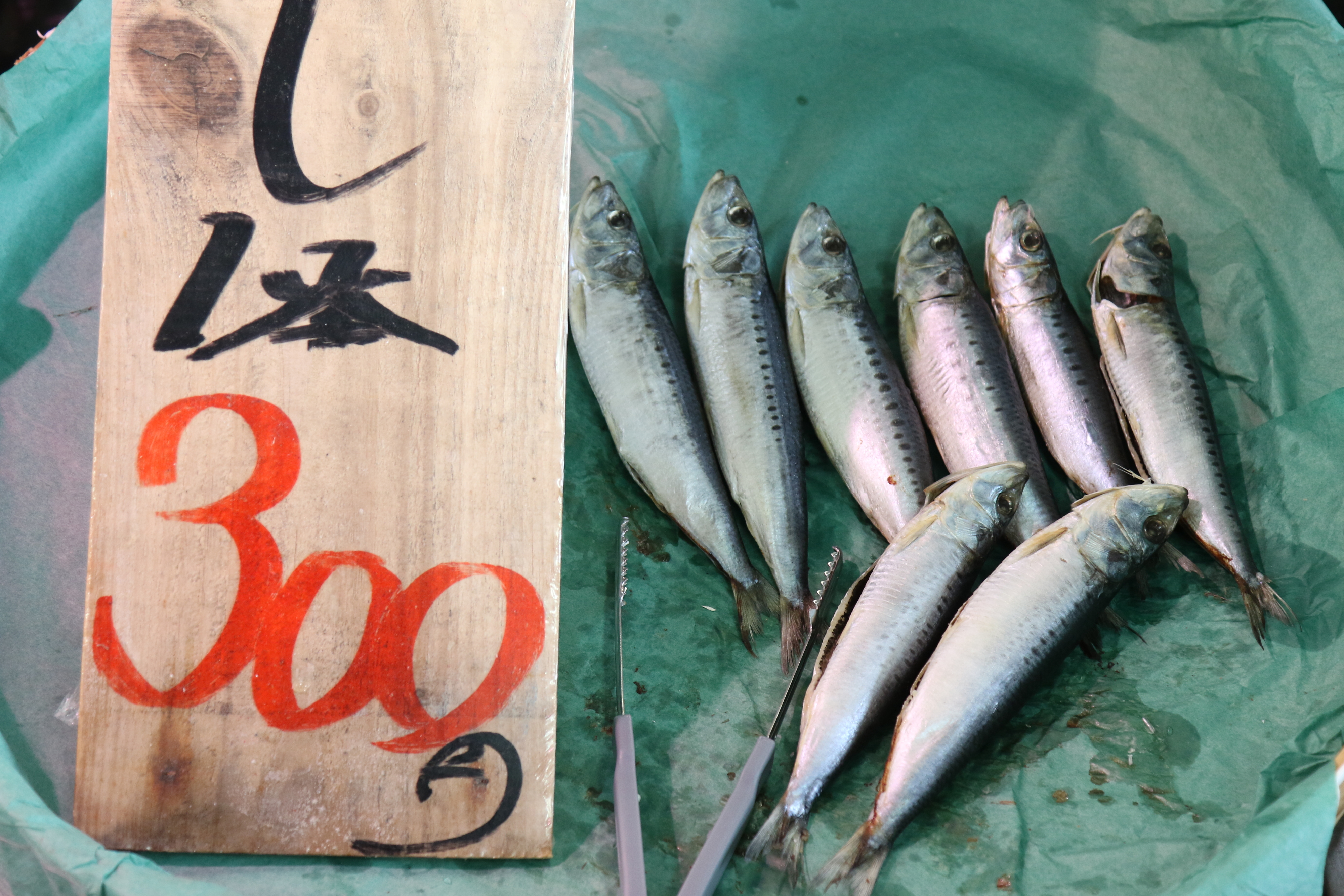 후쿠시마현의 오나하마항 수산물 시장의 생선