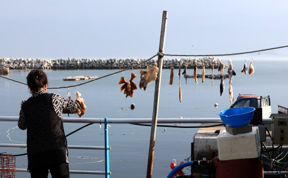1일 오전 인천 옹진군 백령도 두무진항구에서 주민들이 장사를 준비하고 있다. 전날 백령도 일대에는 북한이 발사한 우주발사체로 경계경보 발령 재난 문자가 발송돼 일부 주민들이 대피소로 대피하기도 했다. 2023.6.1 연합뉴스