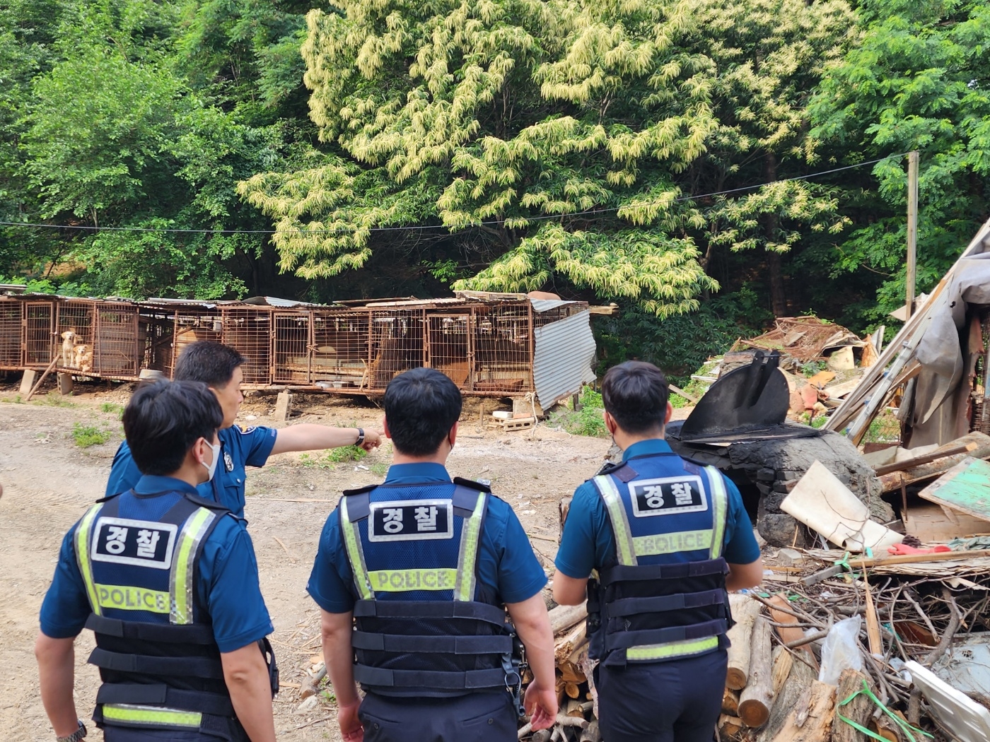 10일 오전 충남 천안시 서북구 일원의 한 농장에서 신고를 받고 출동한 경찰이 개들이 갇혀 있는 현장 등을 확인하고 있다. 독자 제공