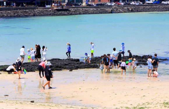 토요일인 17일 초여름 날씨 속 제주시 조천읍 함덕해수욕장에서 관광객과 나들이객들이 바다에 들어가 물놀이하거나 백사장에 앉아 바닷바람을 쐬며 여름 정취를 즐기고 있다. 2023.6.17 연합뉴스