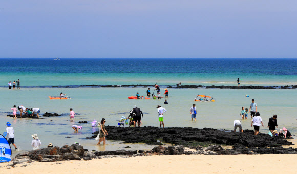 토요일인 17일 초여름 날씨 속 제주시 조천읍 함덕해수욕장에서 관광객과 나들이객들이 바닷물에 다리를 담그고 바닷바람을 쐬는 등 여름 정취를 즐기고 있다. 2023.6.17 연합뉴스