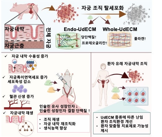 포스텍 제공