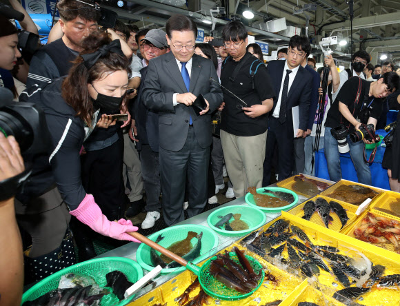 더불어민주당 이재명 대표가 22일 강원 강릉시 주문진 좌판풍물시장을 찾아 산오징어를 고르고 있다. 2023.6.22 연합뉴스