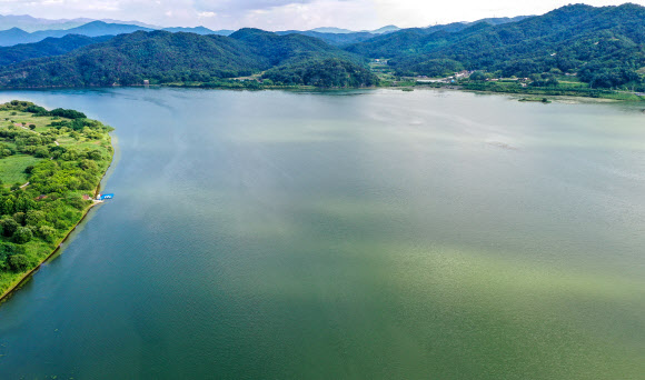 낙동강 강정고령 지점에 조류경보 ‘관심’단계가 발령된 22일 오후 대구 달성군 강정고령보 상류 7km 지점 상공에서 바라본 낙동강이 녹조로 얼룩진 모습을 보이고 있다. 2023.6.22 연합뉴스