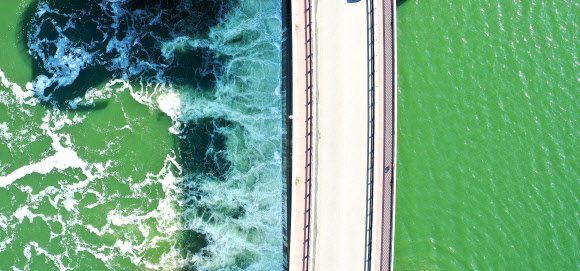 낙동강 강정고령 지점에 조류경보 ‘관심’단계가 발령된 22일 오후 대구 달성군 강정고령보 상공에서 바라본 낙동강이 녹조로 인해 짙은 녹색을 띠고 있다. 2023.6.22 연합뉴스