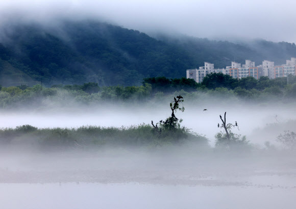 전국 곳곳에 장맛비가 내리는 26일 강원 춘천시 소양강 일대에 짙은 물안개가 피어오르고 있다. 2023.6.26 연합뉴스