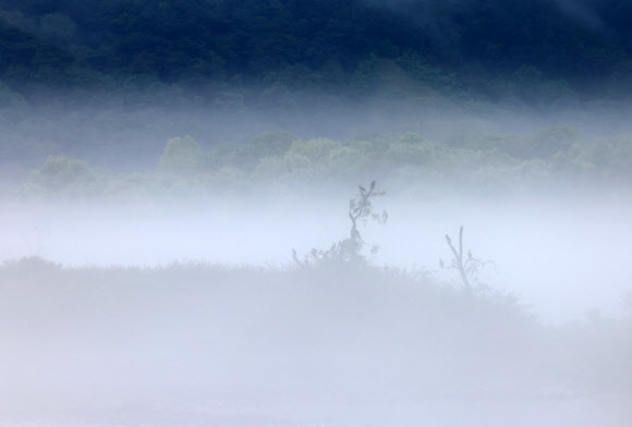 전국 곳곳에 장맛비가 내리는 26일 강원 춘천시 소양강 일대에 짙은 물안개가 피어오르고 있다. 2023.6.26 연합뉴스