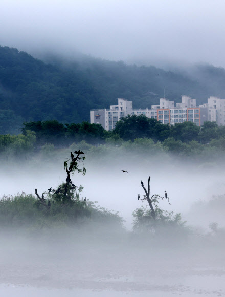 전국 곳곳에 장맛비가 내리는 26일 강원 춘천시 소양강 일대에 짙은 물안개가 피어오르고 있다. 2023.6.26 연합뉴스