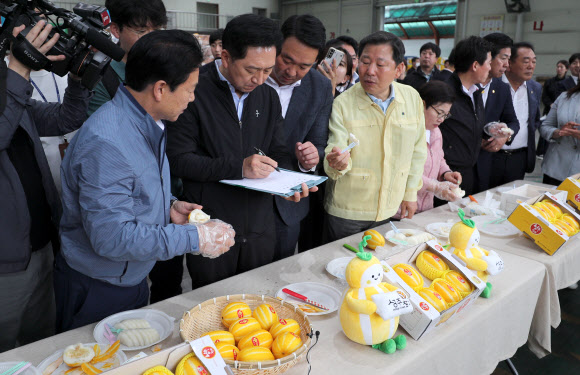 국민의힘 김기현 대표가 26일 경북 성주군 성주농산물공판장을 찾아 성주 참외 400박스를 구매하고 있다. 2023.6.26 연합뉴스