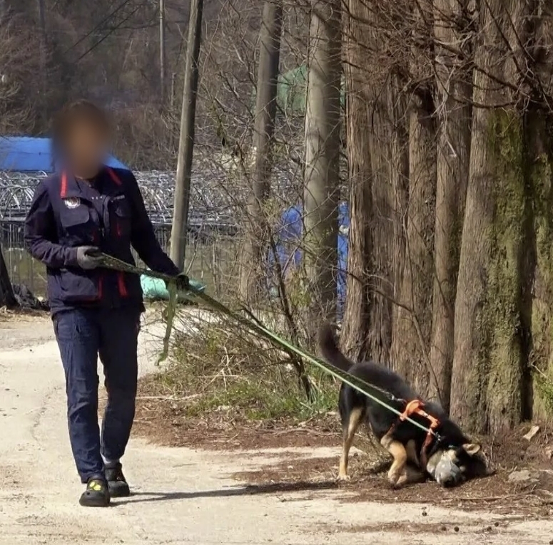 동물보호단체에서 보호 중인 사고견. 동물보호단체 ‘비글구조네트워크’ 인스타그램