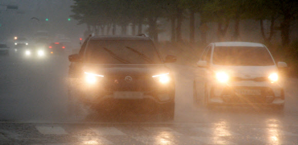 연일 장마가 이어지고 있는 29일 전북 전주시 효자로에 거센 장맛비가 내리고 있다. 2023.06.29.  뉴시스