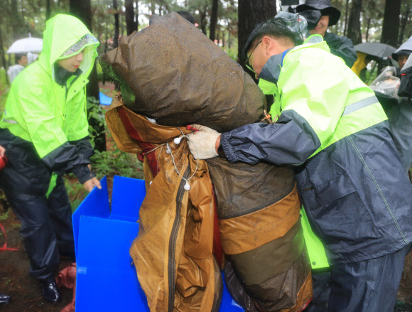 30일 오후 제주시 관계자 등이 제주시 협재해수욕장과 금능해수욕장 사이 녹지 지역에 있는 ‘알박기’ 텐트를 강제 철거하고 있다. 협재·금능 해수욕장 야영장은 시민과 관광객이 효율적으로 사용할 수 있도록 7월 1일부터 8월 31일까지 지역 청년회에 위탁해 한시적으로 유료 운영된다. 2023.6.30 연합뉴스