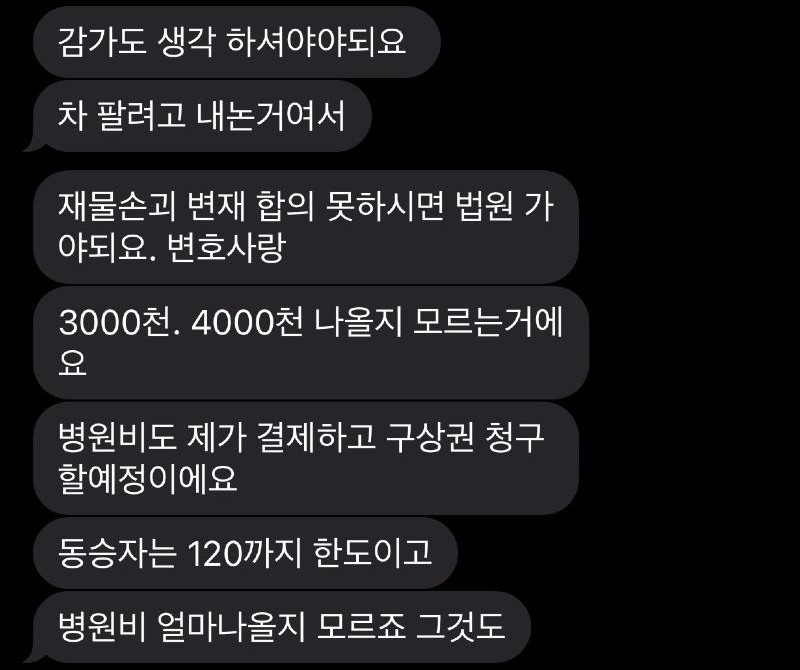 전동 킥보드에 올라갔다가 넘어지면서 옆에 정차돼 있던 포르쉐에 흠집을 내는 바람에 차주로부터 수리비 4000만원을 요구받았다는 사연이 전해졌다. 사진은 차주가 보냈다는 문자메시지 일부. 온라인 커뮤니티 ‘보배드림’ 캡처