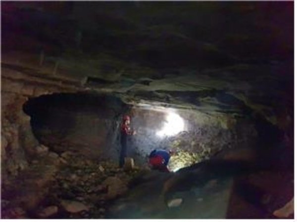 한국구슬거미 서식 동굴. 국립생물자원관 제공