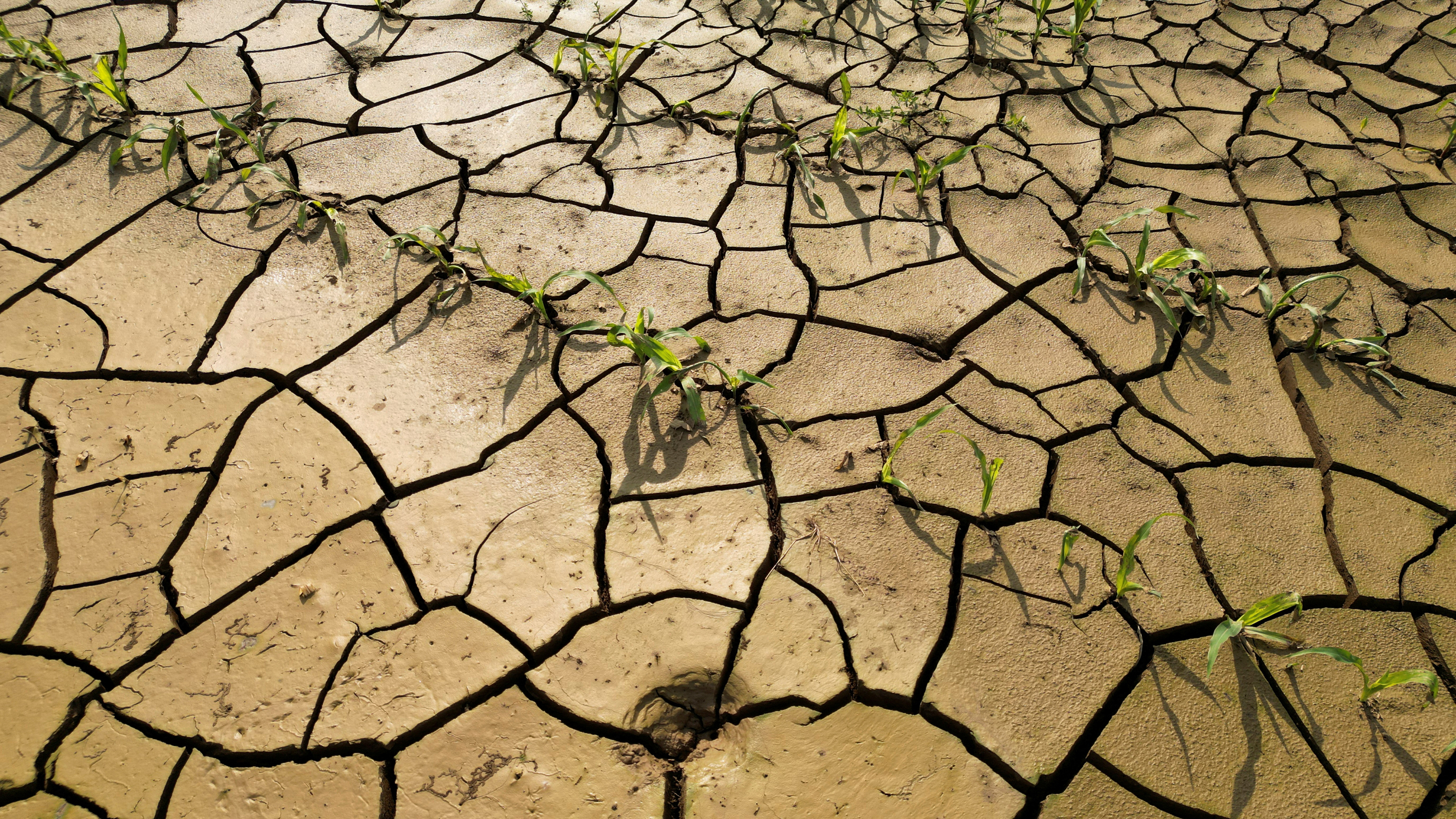 FRANCE-AGRICULTURE/DROUGHT