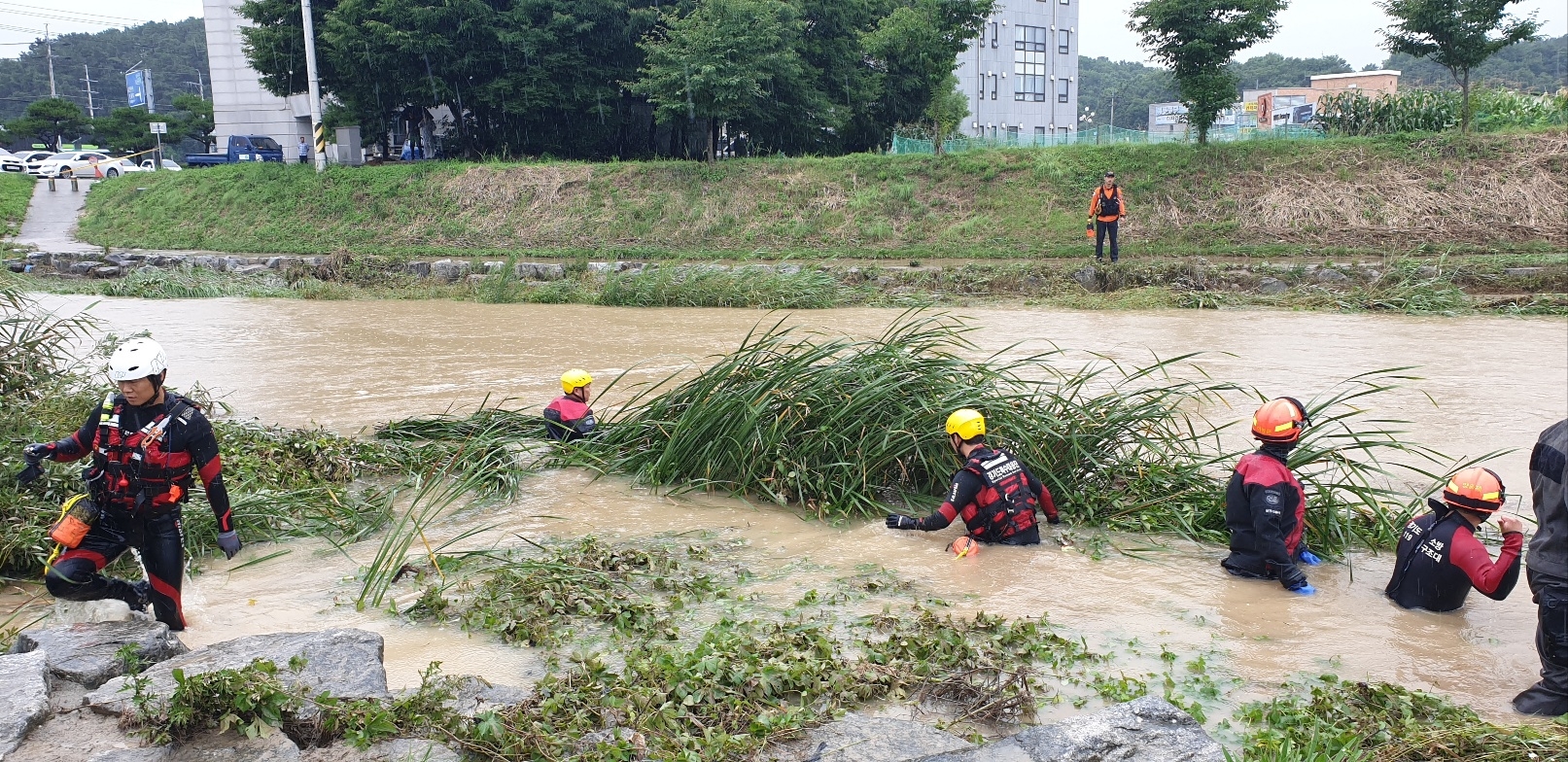 11일 오전 10시 30분 여주시에서 운동을 나갔던 70대 남성이 비로 불어난 하천에 휩쓸려 실종되는 사고가 나 소방당국이 수색을 하고 있다 .  경기도소방재난본부 제공