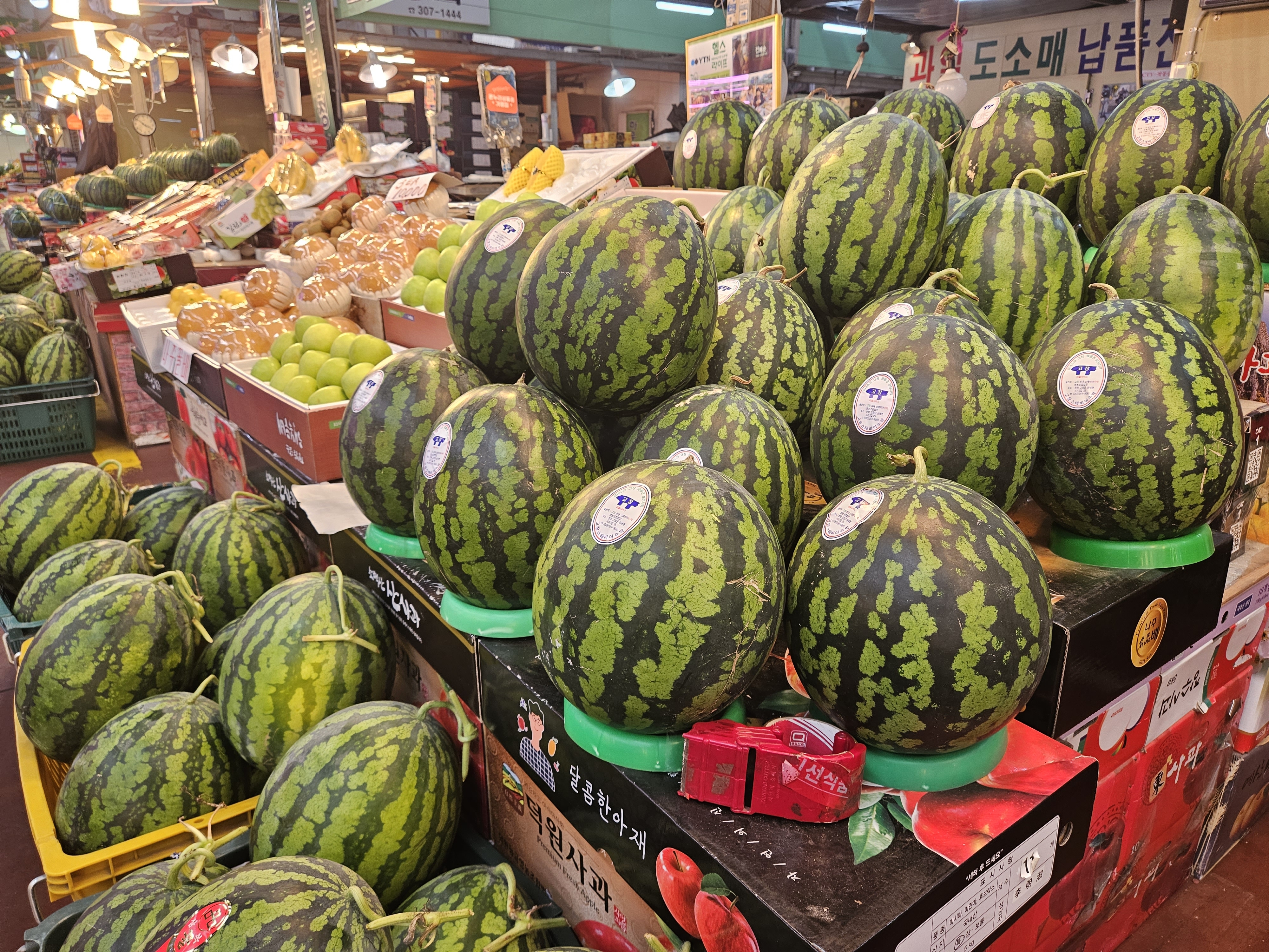 20일 서울 마포구 농수산물시장의 한 과일 가게에 수박 등 과일이 진열돼 있다. 강동용 기자